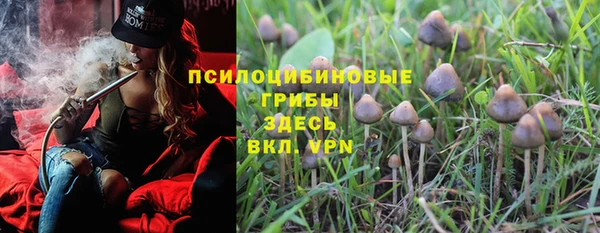 спайс Абинск