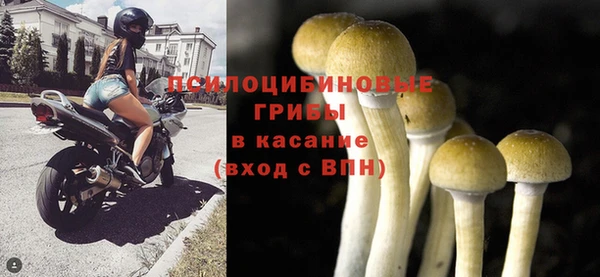 бошки Абаза