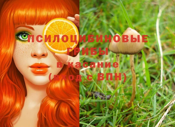 бошки Абаза
