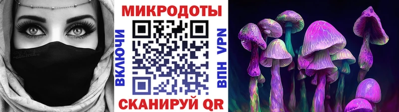 Галлюциногенные грибы MAGIC MUSHROOMS Зеленогорск