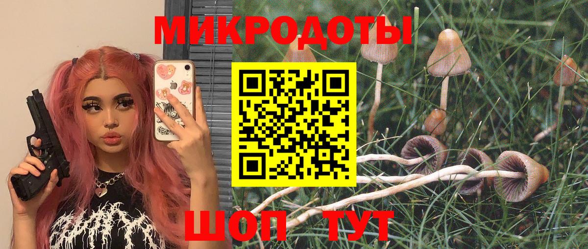 Псилоцибиновые грибы ЛСД  Вход с VPN  купить  сайты  Зеленогорск 
