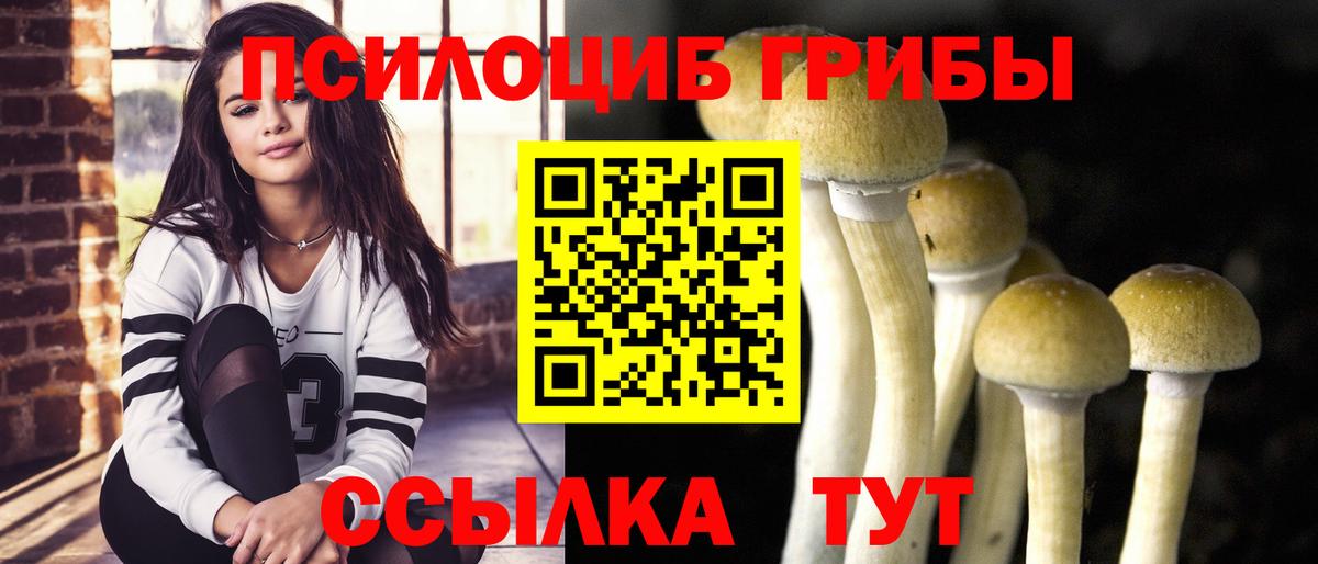 Псилоцибиновые грибы Magic Shrooms Зеленогорск